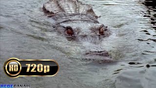 Crocodilo 2 | Filme Completo Dublado em Português