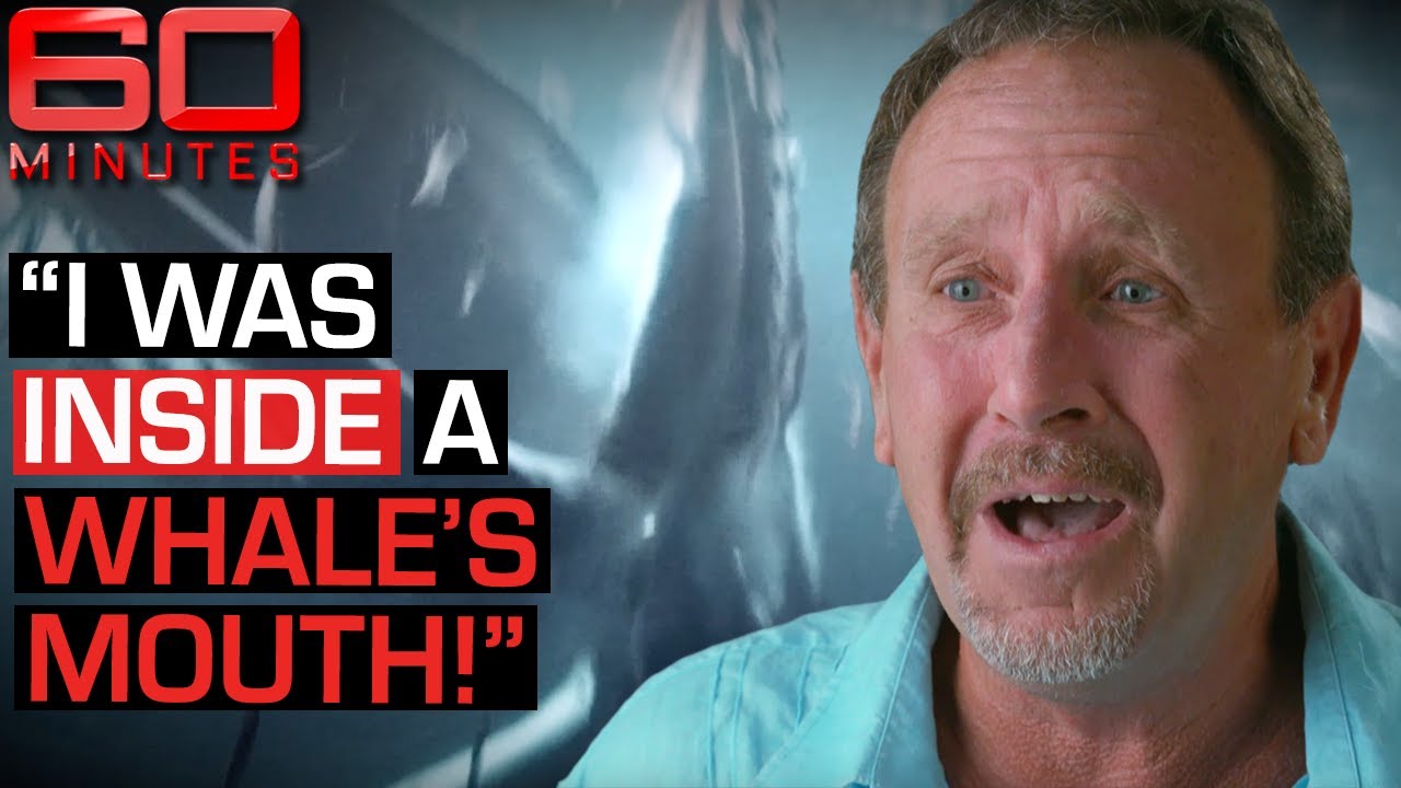 Swallowed by a whale This mans incredible tale of survival  60 Minutes Australia