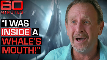 Swallowed by a whale? This man