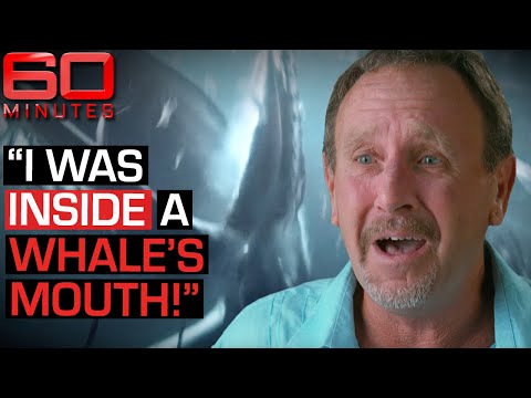 Swallowed by a whale? This man's incredible tale of survival | 60 Minutes Australia