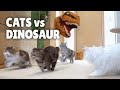 Cats vs dinosaur  kittisaurus