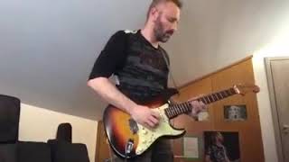 Dogs - Fast Solo Cover By Massimo S.