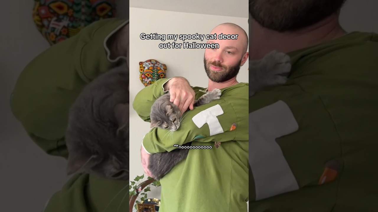 SPOOKY kitty