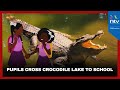 How Baringo pupils wade through crocodile-infested lake to get to school