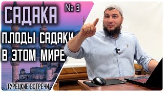 картинка: Садака. Плоды садаки в этом мире. (21.10.2024, г. Бурса, Турция )