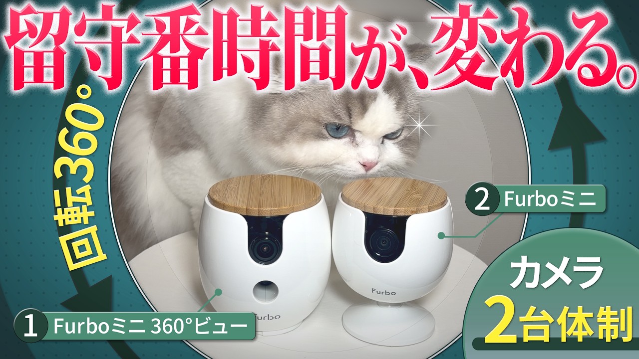 Furboミニ 360°ビューとFurboミニで猫の留守番を見守る様子
