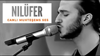 Nilüfer - Mehmet Kilinç & Enes Kilinç (Original)