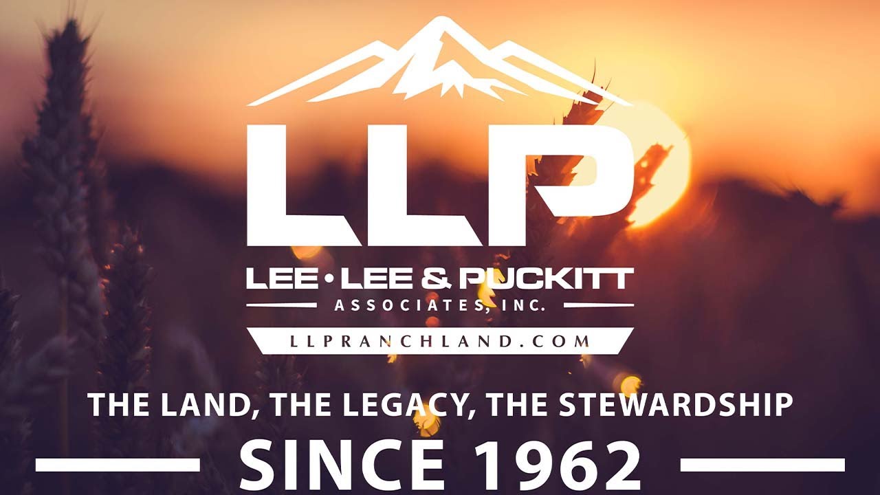 Lee, Lee & Puckitt The Land, The Legacy, The Stewardship YouTube