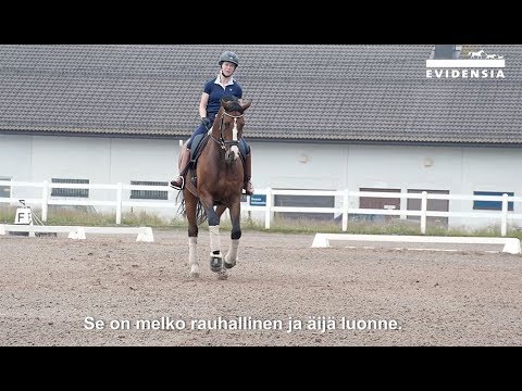 Video: Kymmenen Syytä Erottaa Eläinlääkäri