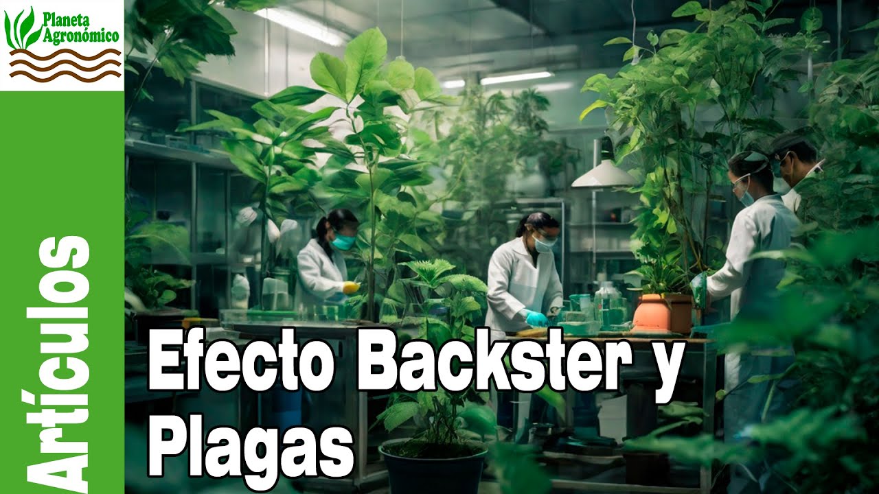 Los SECRETOS DE LAS PLANTAS 🔬🧬 Efecto Backster y ¿el manejo de plagas ...