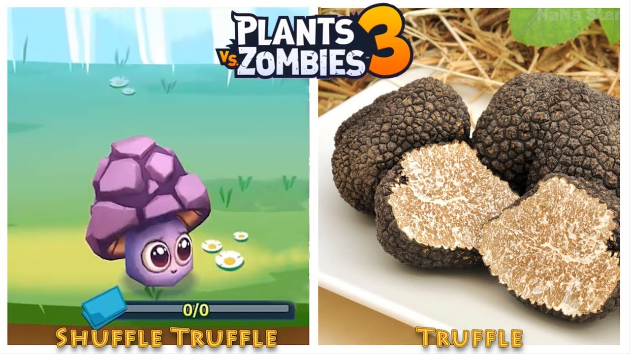 Plants vs Zombies 3 Characters in Real Life