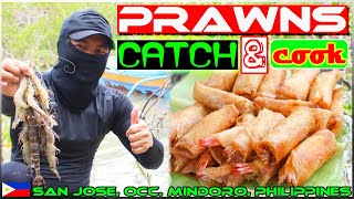 EP70 - Shrimp Dynamite Lumpia | Catch 'n Cook | Occi. Mindoro Philippines