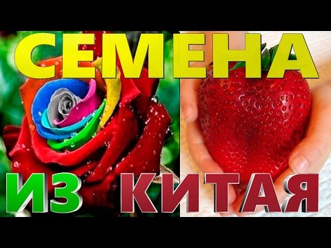 Семена из Китая с сайта Aliexpress