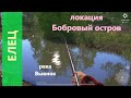 Русская рыбалка 4 - река Вьюнок - Елец в протоке
