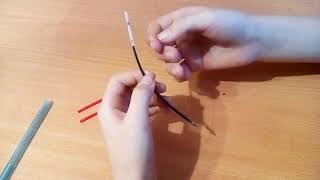 Начинающий Блогер Лук Из Пасты