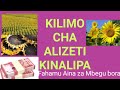 FAHAMU KUHUSU KILIMO CHA ALIZETI