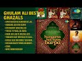 गुलाम अली की सदाबहार ग़ज़लें | Ghulam Ali Songs | Apni Tasveer Ko Aankhon Se Lagata Kya Hai
