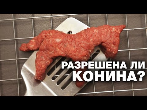 Дозволено ли мусульманину есть конину? Спросите имама