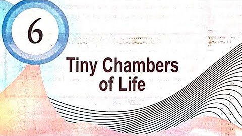 Class 6 Basic science | 6th chapter | Tiny Chambers of Life 2 | New kerala syllabus | SERT