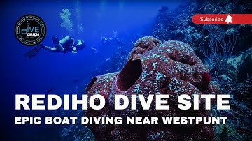 Scuba Diving at the Rediho Dive Site in Curaçao: Epic Boat Diving in Westpunt (4K video)