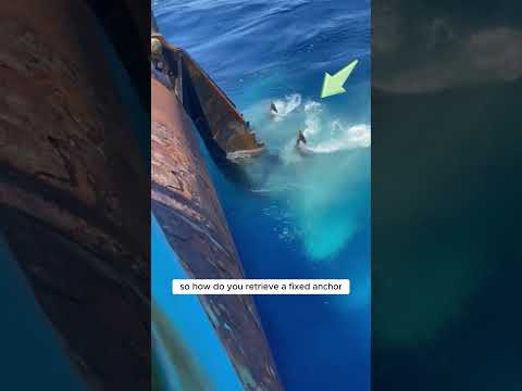 شاهد هذا كيف يتم تثبيت وتحرير مرساة السفينة خطوات احترافية