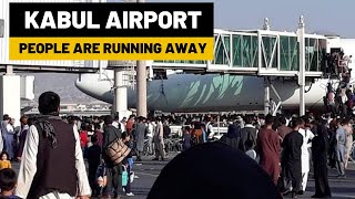 Chaos and Panic at Kabul Airport | Afghanistan | Taliban | Ab's Findings