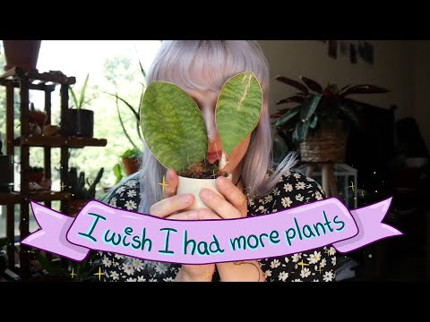 Plant haul: 6 new plants! Trip to Botanical Garden in Belgium