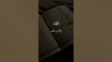 ما تيسر من سورة الكهف #تلاوة_مؤثرة #قرآن #اكسبلور #لايك
