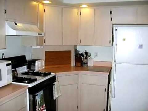 26640 Evert St, Leesburg, FL home video tour