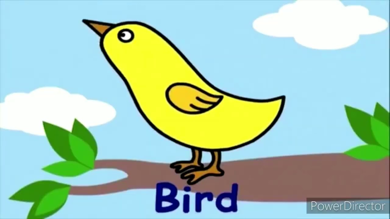 Baby First Blossom transforms (2006present Updated Version) YouTube
