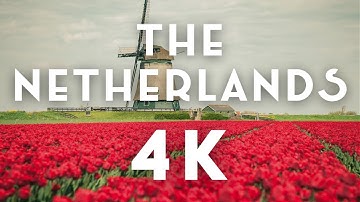 The Netherlands 4K Video Ultra HD | 4K Video Ultra HD Netherlands | Amsterdam 4K UHD The Netherlands 4K Video Ultra HD | 4K Video Ultra HD Netherlands | Amsterdam 4K UHD