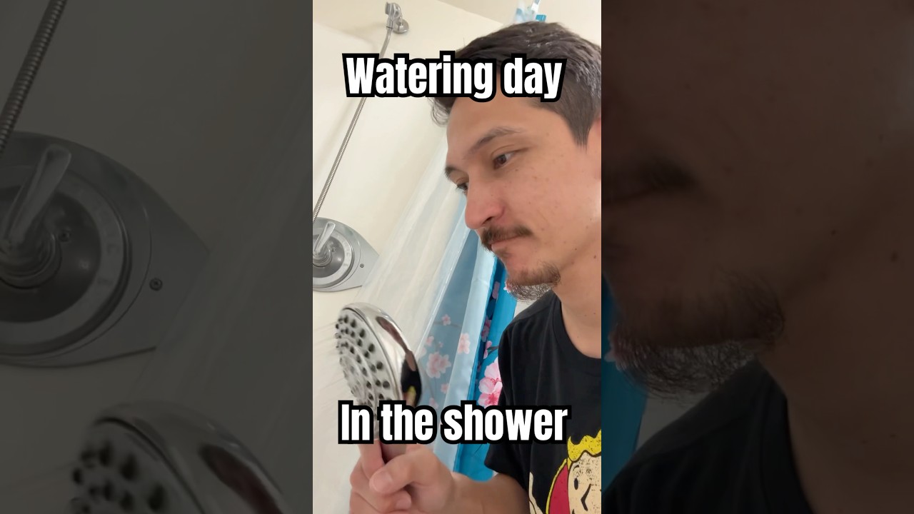 When the shower is the best place for your plants to get watered. Spoiled 🤪🪴￼