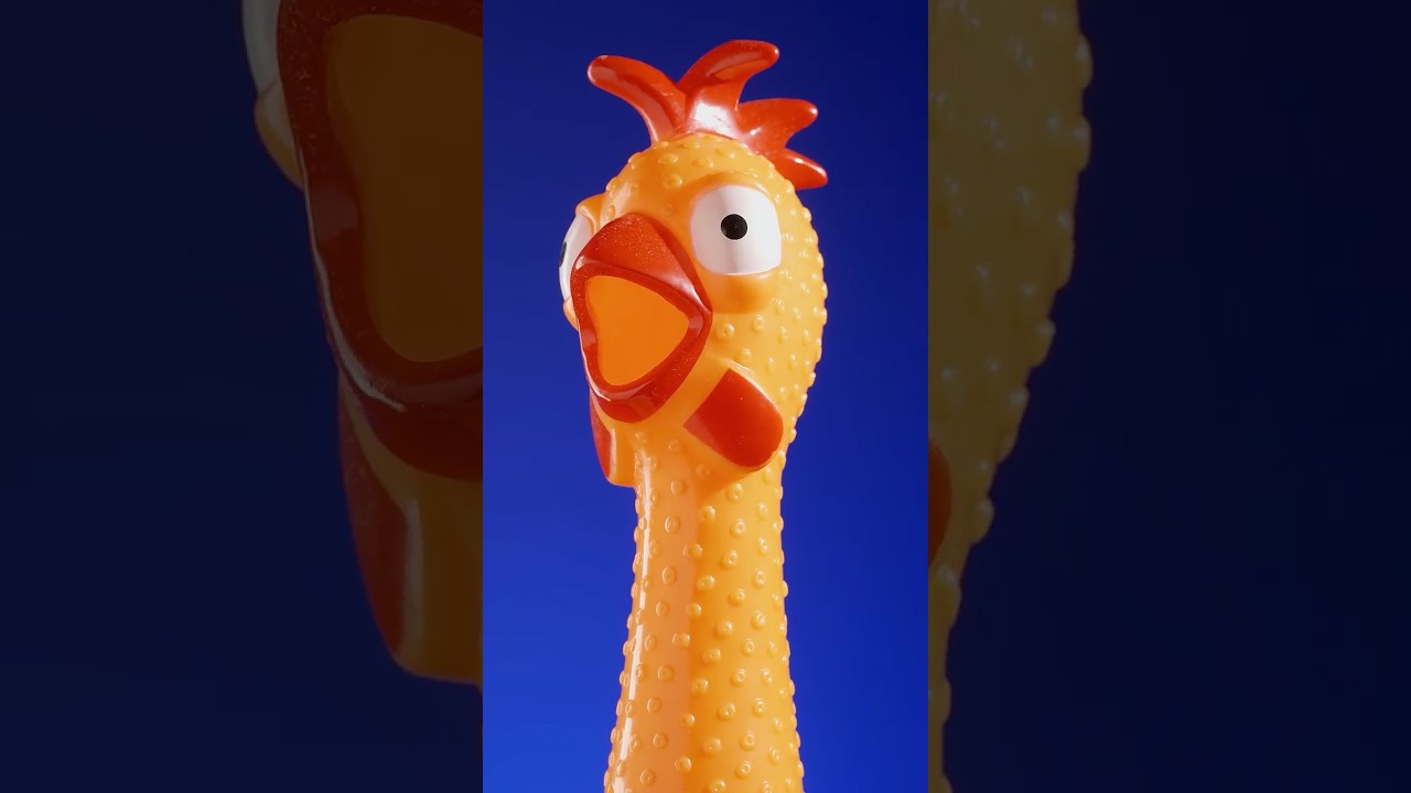 Don't Squeeze This Chicken.