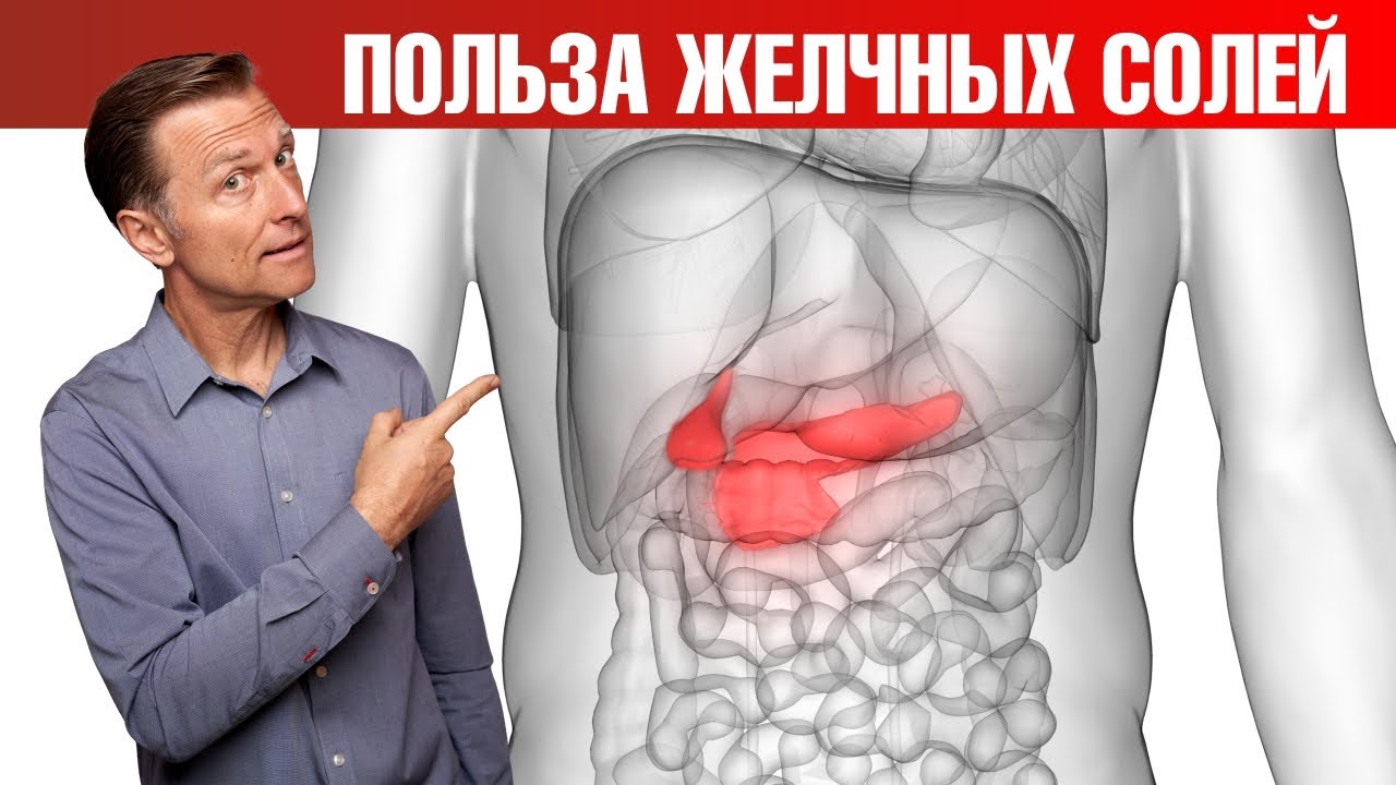 Желчная соль Dr. Berg. Очищенные желчные соли. Скопление желчных солей под кожей. Тудка желчные соли Алтайского. Берг желчный