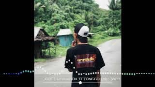 LAGU ACARA VIRAL TIK TOK ❗❗ JOGET LISA ANAK TETANGGA MUSIC TMP 2023