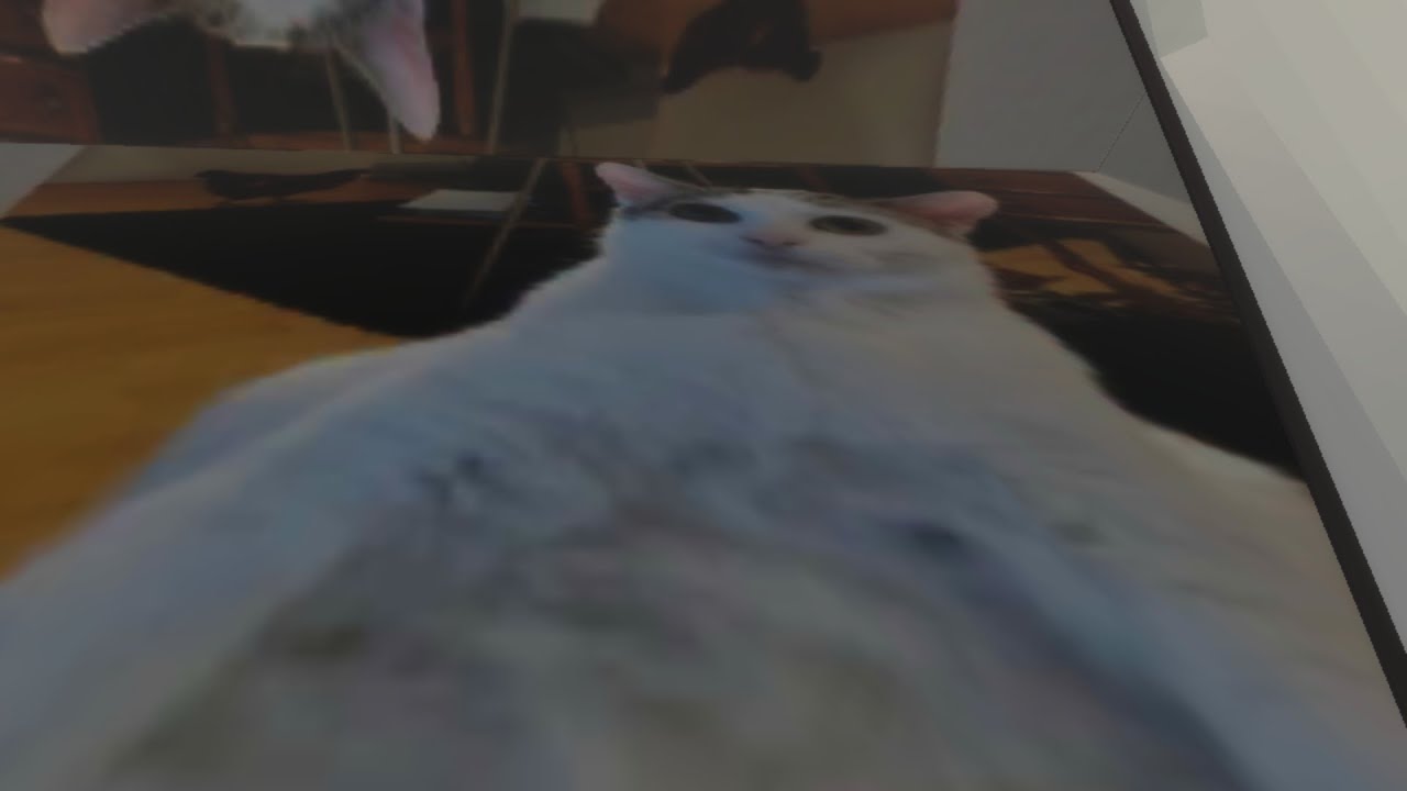 сборник белуги 