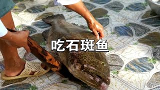 超大的石斑鱼吃刺身烤鱼清蒸，鲜香美味，也太吃好吃了！