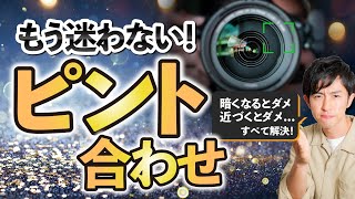 【基本】ピント合わせの悩み即解決【カメラ初心者】