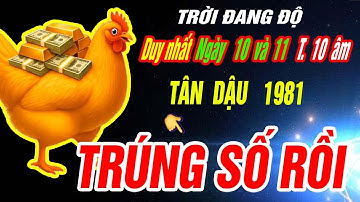 TRỜI ĐANG ĐỘ Tuổi TÂN DẬU 1981 đúng 2 ngày duy nhất T10 âm THẦN TÀI BÁO MỘNG TRÚNG ĐỘC ĐẮC