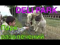 Deli park - рай для детей в Польше. Парк развлечений под Познаню. Вы обязаны тут побывать!