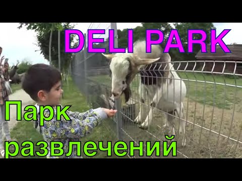 Deli Park - рай для детей в Польше. Парк развлечений под Познаню. Вы обязаны тут побывать!