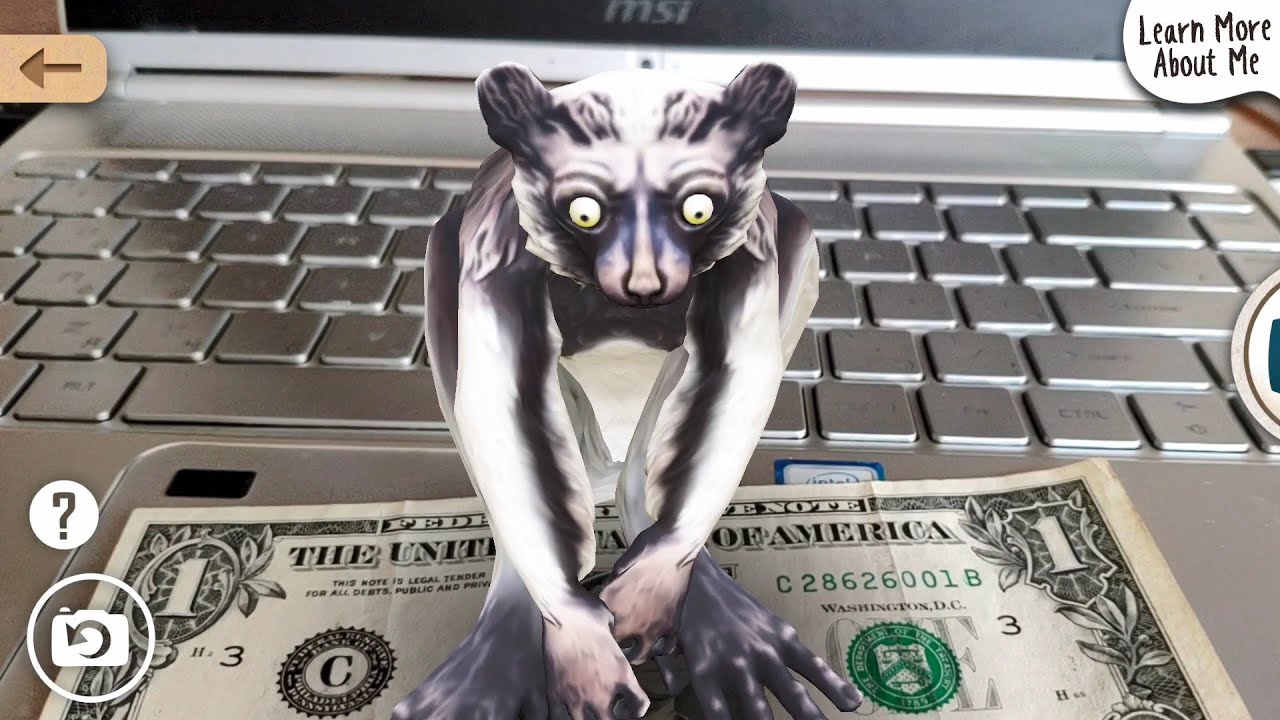 Животные из Safari Central: Wildlife AR