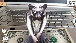 Животные из Safari Central: Wildlife AR screenshot 2