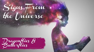 Signs From the Universe Dragonflies and Butterflies