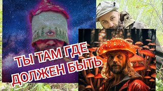 Хотел на Курорт!🌴Но Поехал к Лесогору🍄🌲 Отзывы о Ретрите🍄🌞 В Москве👑