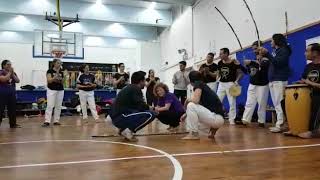 Mestre Piolho Cm Kimberly