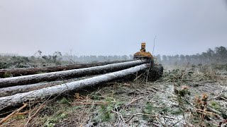 Dirty South logging- Tigercat playing in the snow ❄ ❄ ❄