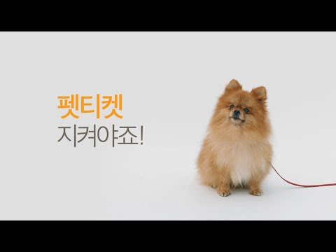 공익광고협의회 우리 개는 순한데 Viral Mp3