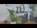 【収納】極薄スリムなサイドボード『Simba / シンバ』｜Meuble モーブル