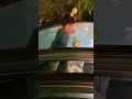 Who is dancing better¿ Bumblebee or Bob or me¿